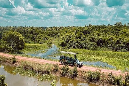 Passeio de dia inteiro a Fazenda San Francisco