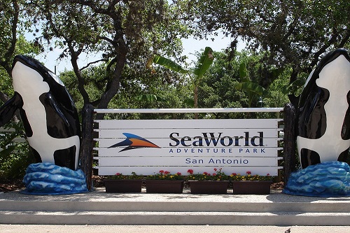 Seaworld & Aquática - Bilhete Flex 2 dias - 2 Parques